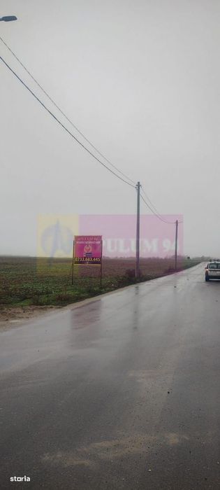 Dragomiresti-Vale, lângă Șoseaua de Centură, pretabil hale, productie