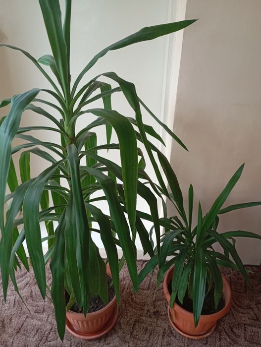 Юки стайни за дома или офиса