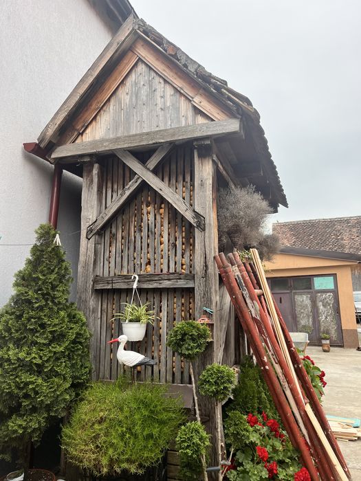 Coșer/porumbar
