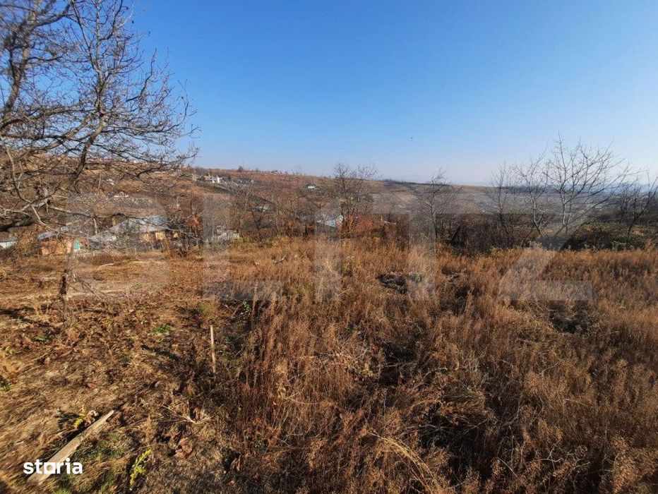 Teren 4990 mp intravilan, Tomesti- Chicerea
