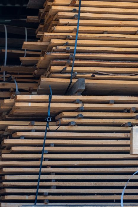 Cherestea, stejar uscat in uscator si mai multe esente frasin,paltin,