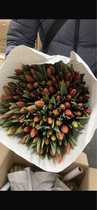 Тюльпаны оптом на 8 марта