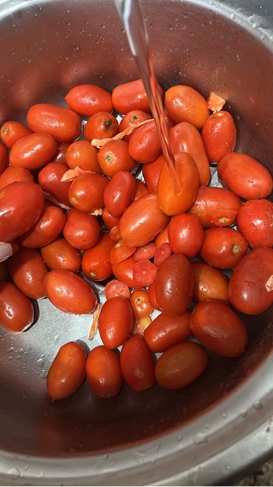 Дача 19 маршрут 7 соток