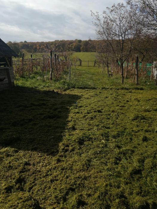 Casa de vânzare cu teren in Cinta