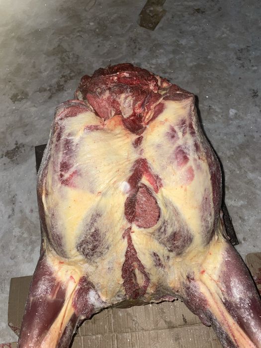 Соғым. Жабағы еті. Семейден келді.