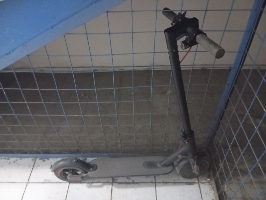 Самокат Xiaomi M365