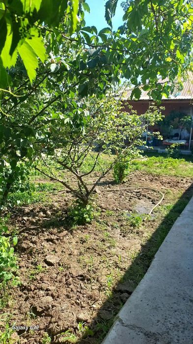 Продается дом в городе.