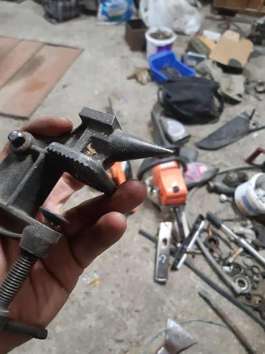 Продам маленькие тиса