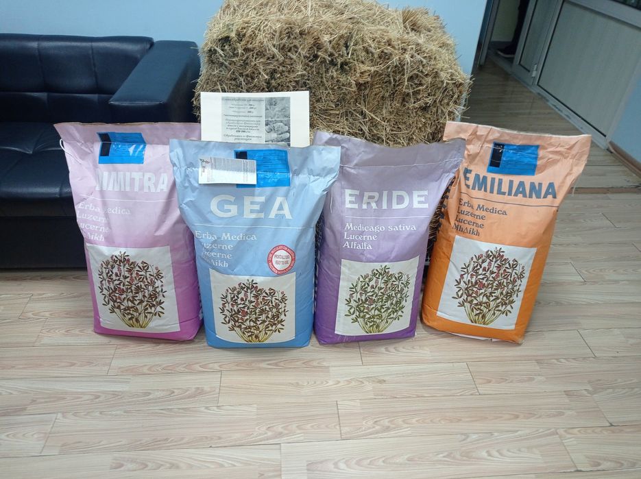 Джеа жонышка люцерны