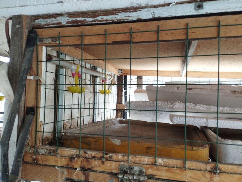 Клетки для бройлеров