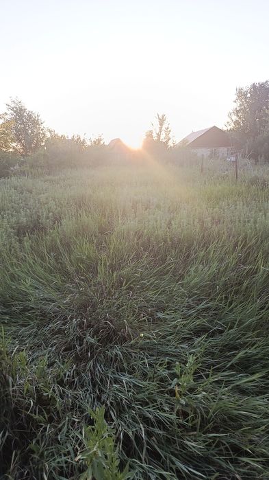 Продам дачный участок с домиком