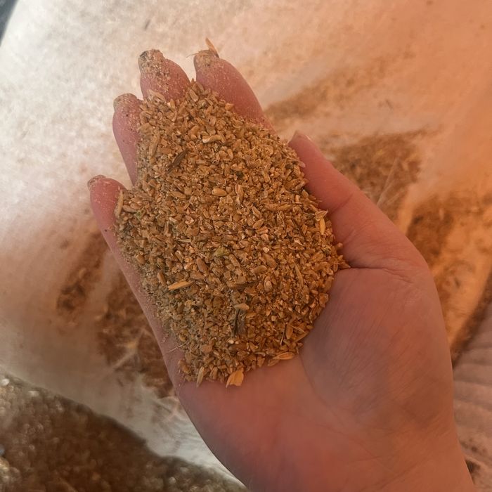 Ячмень, пшеница, сечка, дробленка