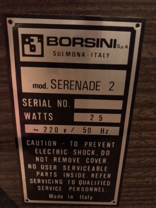 Orga electrica Borsini Serenade2