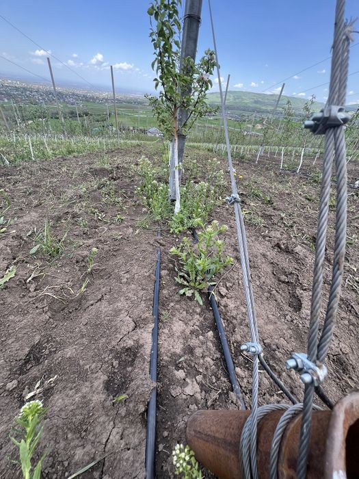 Продам Фазенду в талгаре