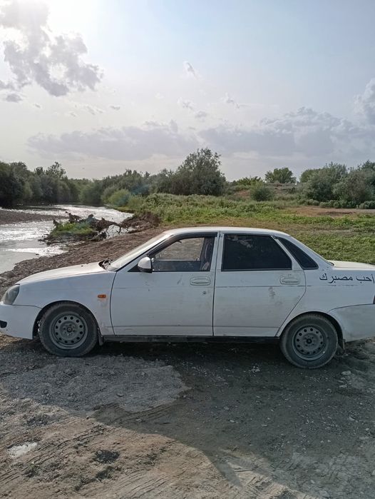 Услуги малярки костоправа