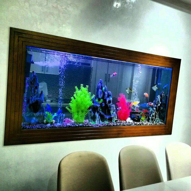 Аквариуми под заказ на любой вкус.