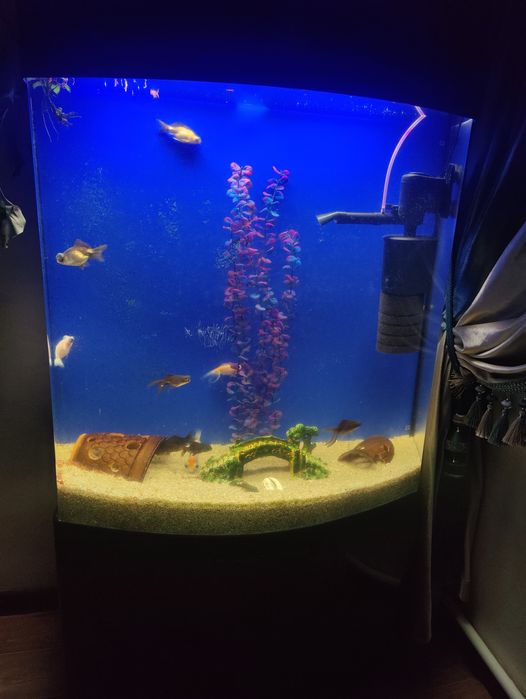 Срочно продаю аквариум