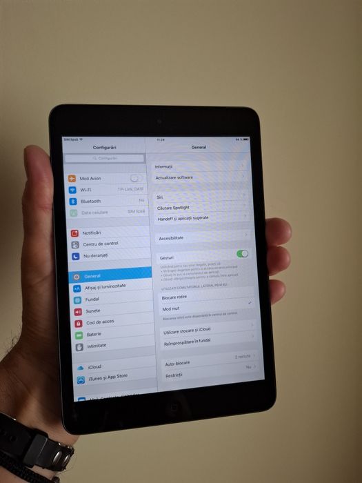Apple iPad Mini/Celular•Space Gray•Sim