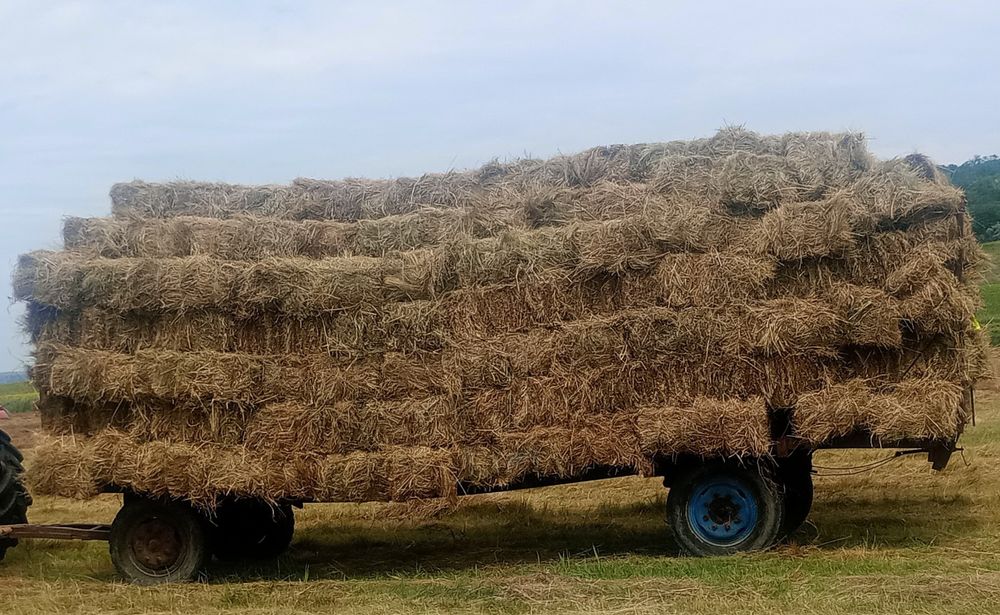 Baloți de fân, PRODUS 2025