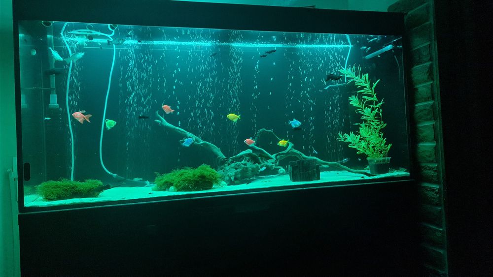 Продам аквариум 400л