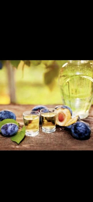 Prune de țuică de vânzare dulci și aromați cu zaharoză suficientă pentru o țuică extraordinară!