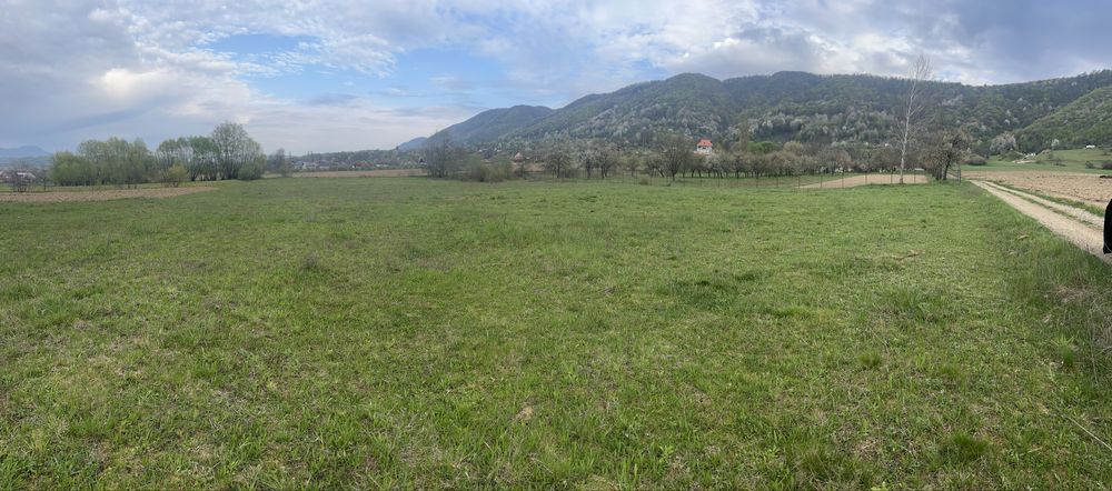 Teren de vanzare Copalnic Manastur