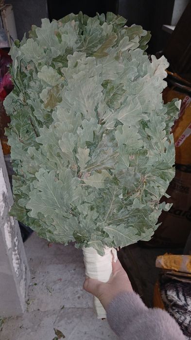 Дубовые венкик Атырау