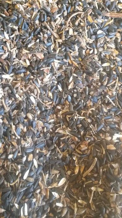 Продам oтходы подсолнух