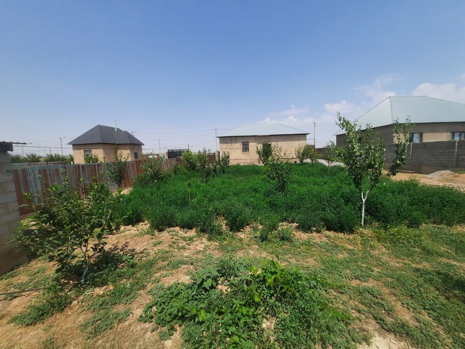 Жонышқа  люцерна торг есть