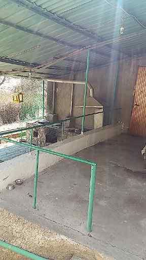 Дача в Кыргаулды 15соток