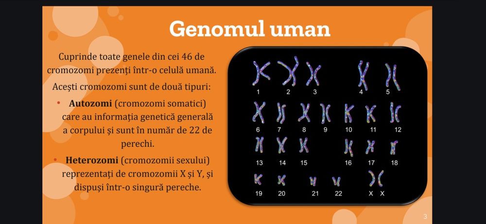 Meditații bacalaureat biologie