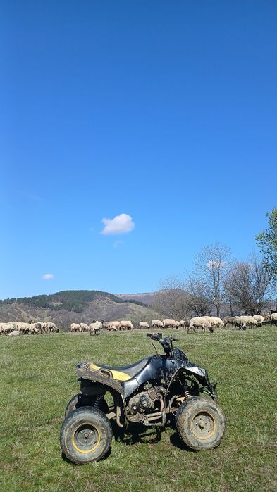 Vand Atv 125cc Kxd Pro