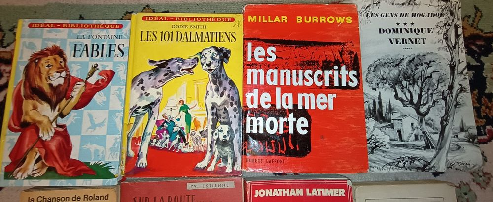 Cărți în limba franceză