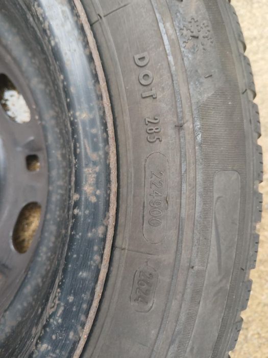 Гуми Petlas Snow Master 2