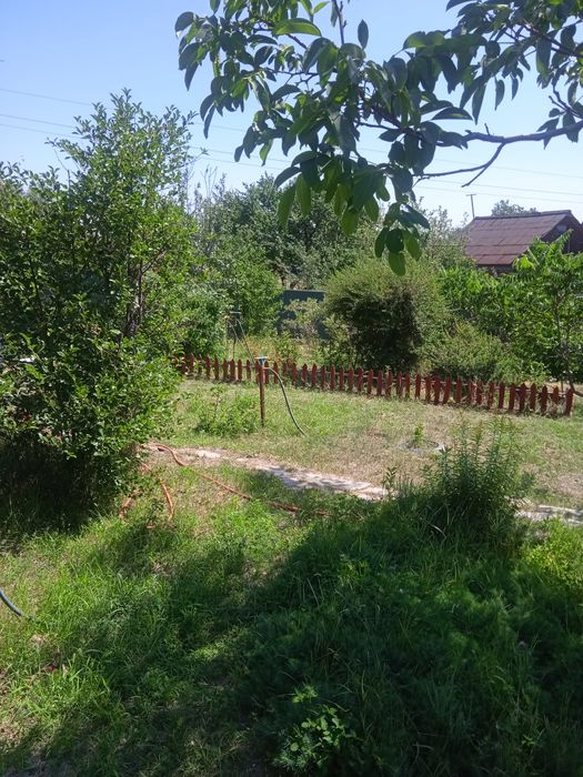 Продам дачу, за  п.Турар,Алматинская область