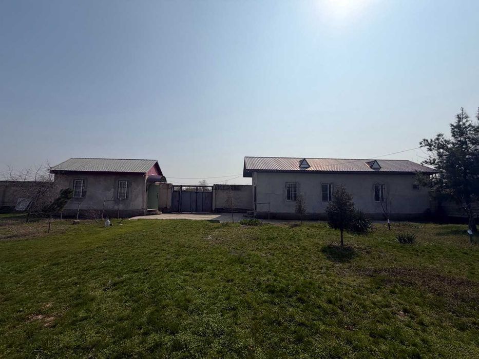 16 соток земли у воды рядом с Ташкентом — всего 13 км от круга Рохат