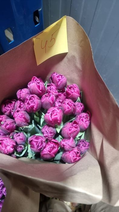 Тюльпаны Пионовидные