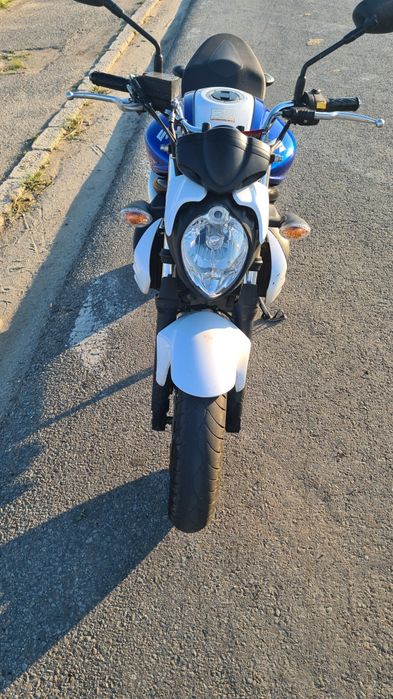 Vand Suzuki SFV650 Gladius 2014, ABS, cat A /A2