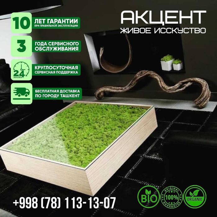"Акцент" фитокартины