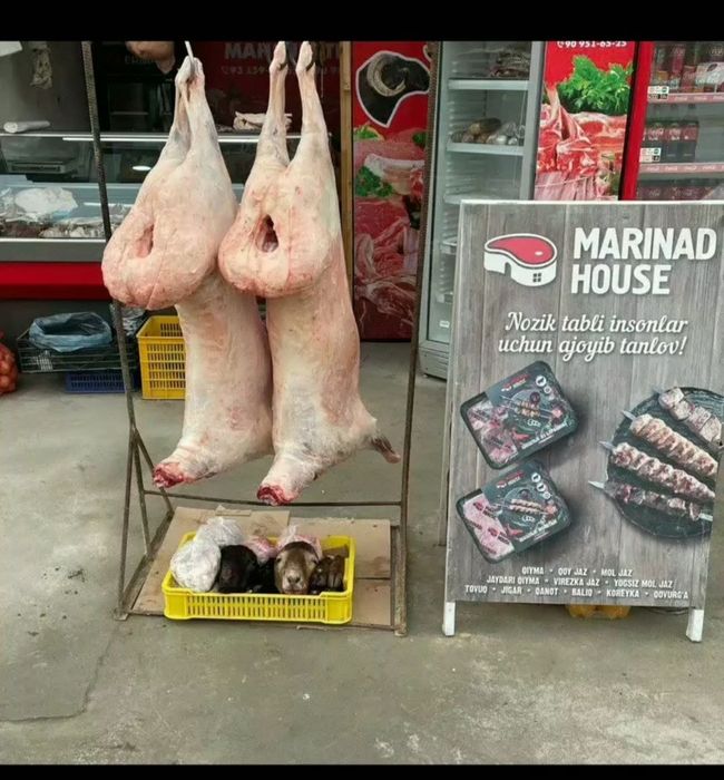 Qassop xzmati toshken