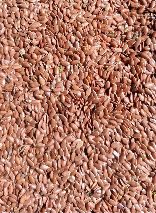 Qozogston Maxsulotlari 50 kg Alo sifatli%