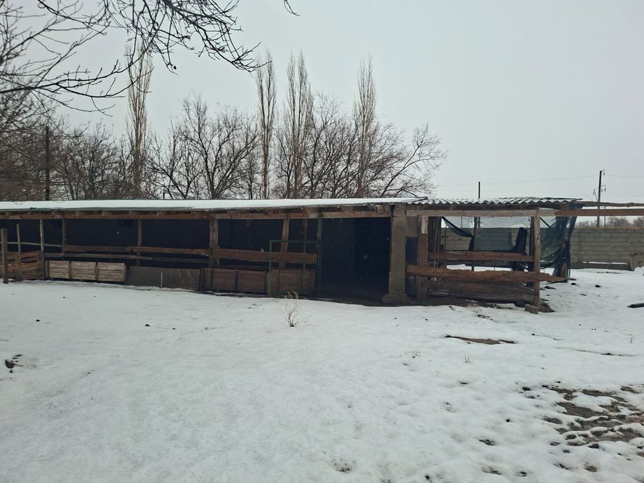 Дом фазенда кой кора