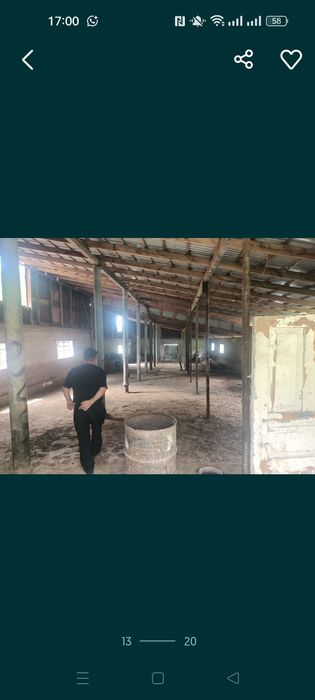 Сдам в аренду ферму с домом...