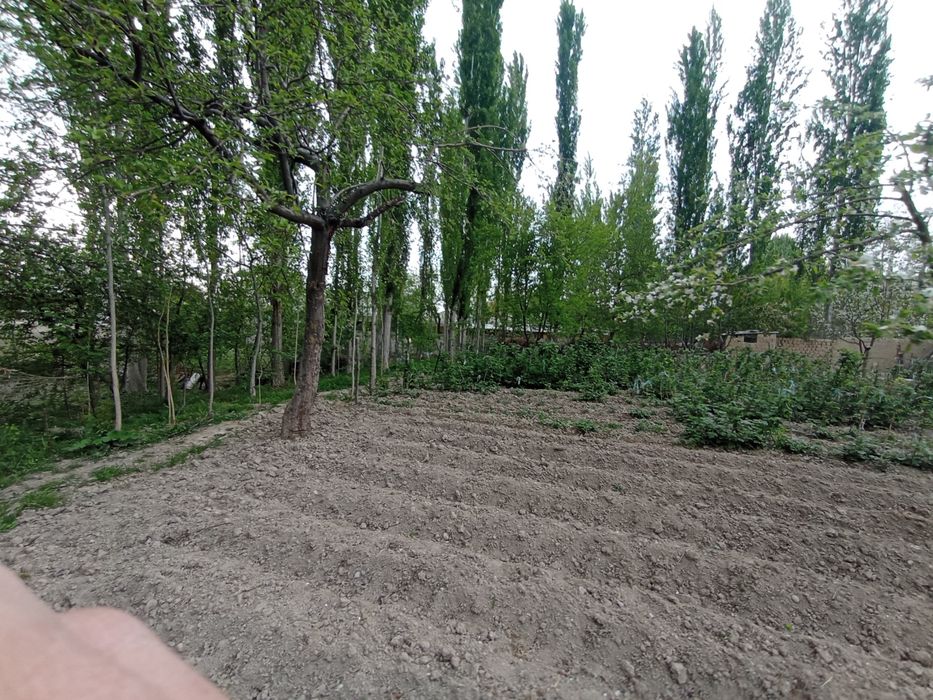 Срочно yer sotiladi  dachabop.