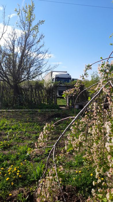 Продам дачу с/оЧерёмушки
