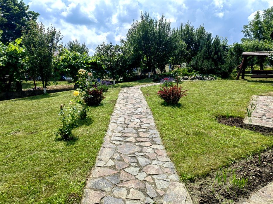 Servicii Peisagistică & Întreținere Spații Verzi – Sibiu