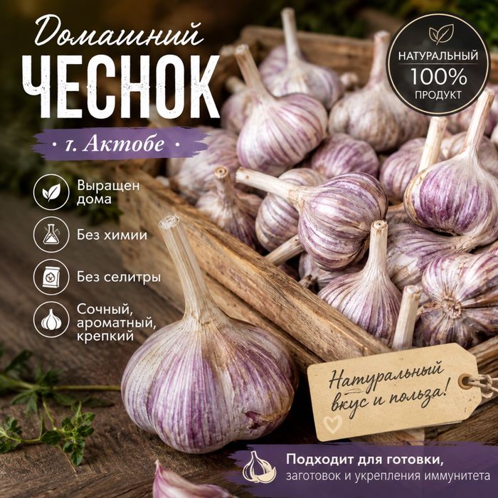 Домашний Чеснок Ядренный