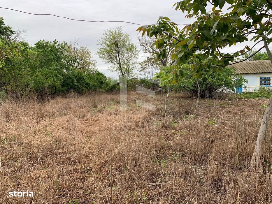 Teren intravilan 2562mp Loc 23 August | Ideal locuiță sau casă vacanță
