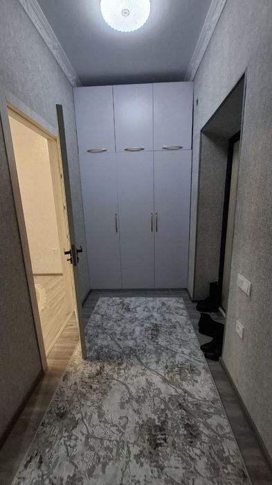 Аренда Сергили 7а. Грин-Хавус навастройка 2/8/9. Евро квартира