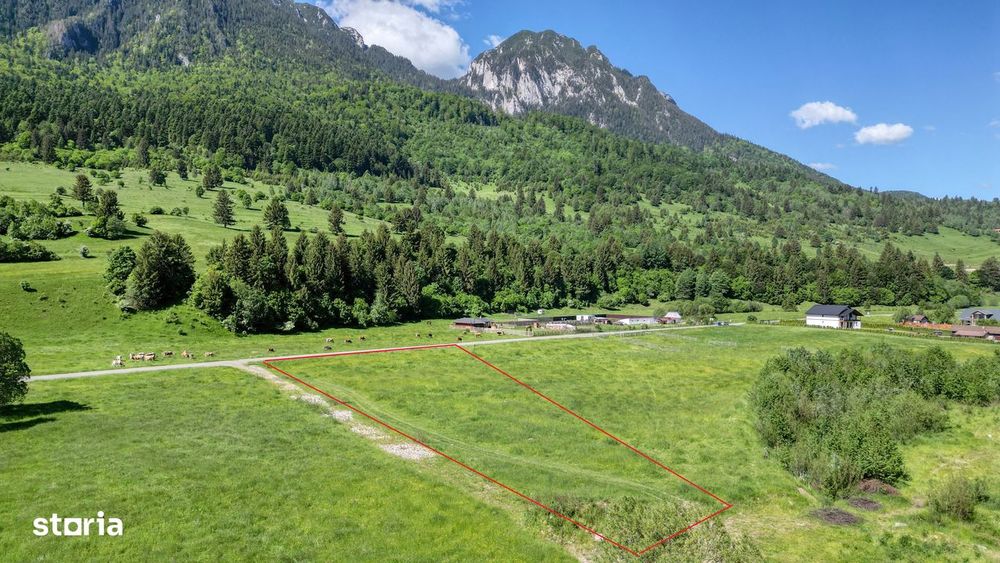 Teren intravilan In Zarnesti zona Plaiul Foii, asfalt si priveliste